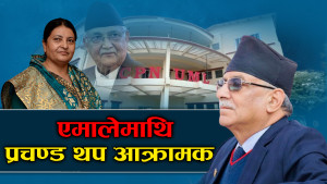 एमालेले मदन र विद्यालाई पेलेकै हो ? प्रचण्डले किन लगाए यस्तो आरोप ?