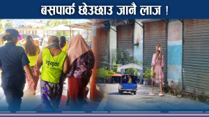 पोखरामा बसपार्क छेउछाउ बस्नै लाज ! देहव्यापार खुलमखुला !