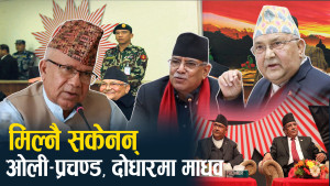 सकसमै बृहत् कम्युनिष्ट एकता, ओली अस्वीकार गर्ने प्रचण्ड बोली