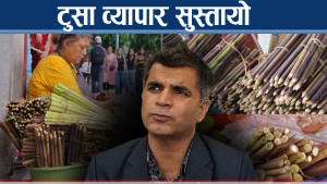 टुसा व्यापारमा कडाई, पोखरामा माग भन्दा कम आपूर्ति
