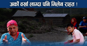 गाउँ नै स्वाह तर पाइएन क्षतिपूर्ति, कुलेखानी ड्यामले अझै त्रास !