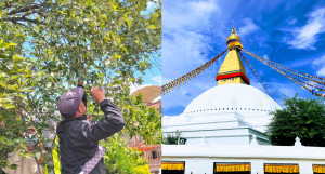 बौद्ध स्तुपामा बुद्धचित्तको दाना चोरी गरेको आरोप