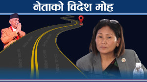 उपभामुखको विदेश भ्रमण १७ पटक, अरुको कति ? 
