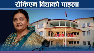 एमाले नेता कार्यकर्ताबाटै ५१ किलो मालाको भारी