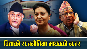 विद्या कम्युनिष्ट एकतामा ब्रेक कि ब्रिज ? विद्याको पुनरागमनमा आशा र शंका