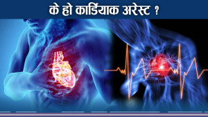 हृदयघातबाट युवा उमेरमै समस्याः कारण, बच्ने उपाय र विश्वव्यापी जोखिम कस्ता ?