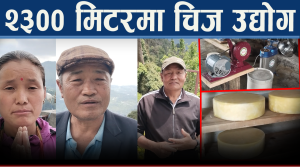 राम्चेमा चिज उद्योगको सफलता, गाउँमै रोजगारी र लाखौ आम्दानीको अवसर