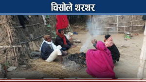 बढ्यो शितलहर, विपन्न समुदाय प्रभावित