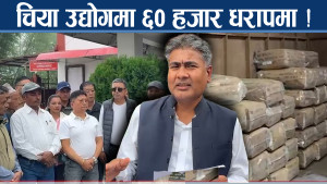 भारतलाई काउन्टर दिने उपायः तेस्रो मुलुकमा चिया बजार विस्तार