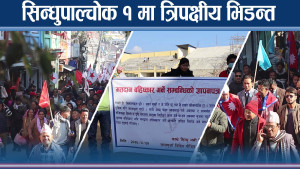 मोहन ब. बस्नेत मैदान बाहिर, फाइदा कसलाई ? एमाले कि रास्वपा ?