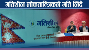 गतिशील लोकतान्त्रिकले सार्वजनिक ग¥यो अवधारणा