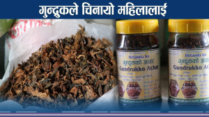गुन्द्रुक बेचेर आत्मनिर्भर बन्दै हेटौडाका महिला