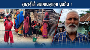 सप्तरीमा झाडापखालाको डरलाग्दो रुप ! तीनको मृत्यु ! विरामी बढ्दै !