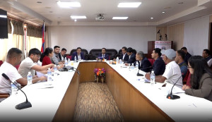 अब भिजिट भिसामा जाने यात्रुलाई शंकाकै आधारमा नरोकिने