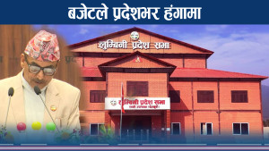 बजेटमा असन्तुष्टि छताछुल्ल, संशोधन नहुँदा आलोचना 