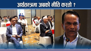 अर्थतन्त्रमा समस्या कहाँ–कहाँ ? मौद्रिक नीतिदेखि वाफियासम्मको चर्चा 