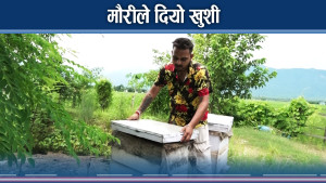 मौरी पालनबाट वार्षिक २५ लाख भन्दा बढी आम्दानी 