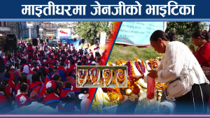 नेतादेखि कलाकारसम्मले मनाए भाइटीका, जेनजी प्रतिनिधि निरास