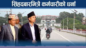 निजामति ऐनविरुद्ध कर्मचारी, सिंहदरबारभित्र सचिवहरुको दौडधुप  