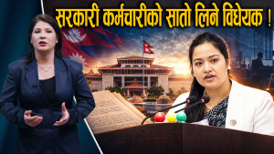 सरकारी कर्मचारी ठीक पार्ने विधेयक, राजनीति र ट्रेड युनियनमा कडाइ