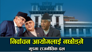आयोग र दलहरुबीचको लफडाको चुरोकुरो यस्तो ! 