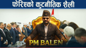 वालेन्द्रले फेरेको कुटनीतिः एक्लै होइन, सामूहिक भेट, के भन्छन विदेशी कुटनीतिज्ञ ?
