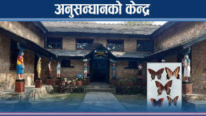 प्रकृतिप्रेमीका लागि अनुसन्धान केन्द्र बन्यो पुतली संग्राहलय