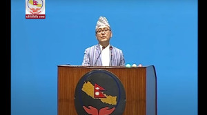लिङदेन भन्छन्- एनसेललाई किस्ताबन्दी सुविधा दिनु गलत