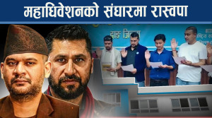 प्रदेश अधिवेशनमा सांसदहरु पराजित, केन्द्रमा के होला ?
