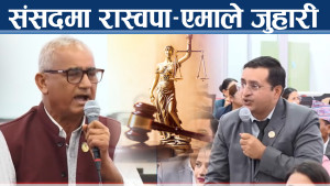 न्यायालय सुधार कि हस्तक्षेप, संसदमा देखियो यस्तो दृश्य