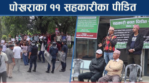 कास्कीका ११ वटा सहकारीको समस्या ४ वर्षदेखि उस्तै