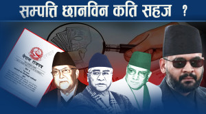 वालेन्द्र सरकारले बनाएको शक्तिशाली आयोग, सम्पत्ति स्रोत खोज्न के  गर्नसक्छ ?