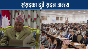 प्रतिनिधिसभा र राष्टियसभाले के–के गरे ? संसद बैठक कति घण्टा बस्यो ?