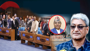 ‘भिजिट भिसा’ प्रकरणबाट थिलथिलो संसद, जनता फेरि मोहभंगमा