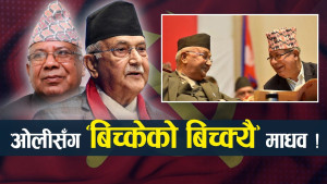 प्रधानमन्त्री बन्न अनेकौँ उपाय रच्दै माधव नेपाल, जुटाउँदैछन् समर्थन !