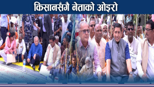 किसानका धर्नामा नेताका पलेँटी ! ऊखुमा सरकार सधैं अनुदार !