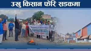 सरकारले नै उखु किसानलाई हेप्यो ! अनुदानकै निहुँमा सत्ता हल्लाउने चेतावनी 