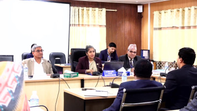 तीनकुने घटनाबारे छानबिन समिति गठन गर्न निर्देशन