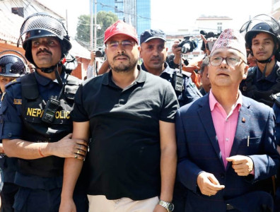 सिंहदरबारमै प्रदर्शन गरेपछि यसरी पक्राउ परे लिङ्देन र शाही