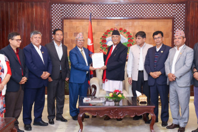 माधवको टिमले बुझायो प्रधानमन्त्रीलाई मागपत्र