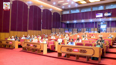 राष्ट्रिय सभाबाट विनियोजन विधेयक र भन्सार विधेयक  पारित