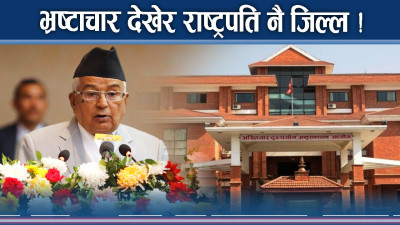 भ्रष्टाचारको जालो, कहिले आउँछ फाल्ने पालो ?