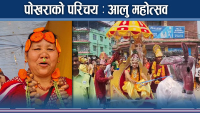 पोखरामा आलु महोत्सवमा देखिए यस्ता दृश्य, जता हेरेपनि आलु नै आलु 