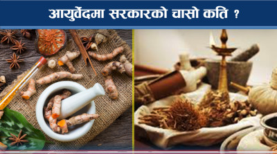 सरकारको प्राथमिकतामा किन पर्न सकेन आयुर्वेद उपचार उपचार ? 