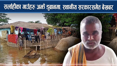 सर्लाहीका गाउँहरु अझै डुबानमा, स्थानीय सरकारसमेत बेखबर