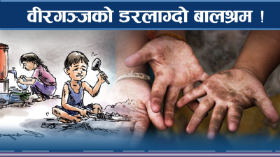 वीरगञ्जलाई गिज्याउने बालश्रम, ४ घण्टाकै छानविनमा १७ जनाको उद्दार !