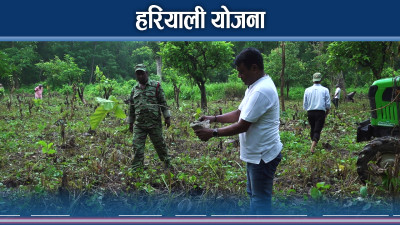 बनको नर्सरी, स्थानीयलाई रोजगारी