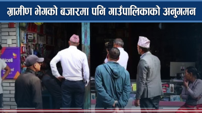 ग्रामीण भेगको बजारमा पनि गाउँपालिकाको अनुगमन