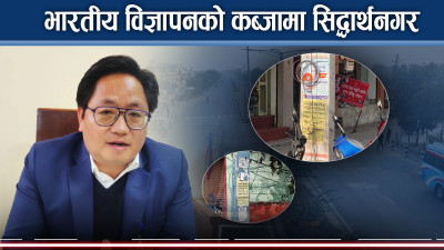 अनधिकृत विज्ञापन बिजुलीको पोलपोलमा, सिद्धार्थनगर नगरपालिका किन मौन ?