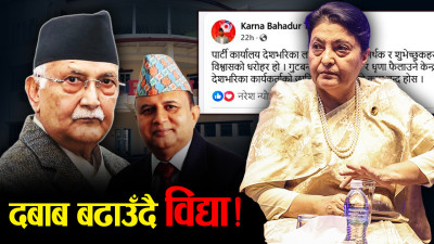 विद्याको बढ्दो सक्रियता, नजरमा विधान महाधिवेशन